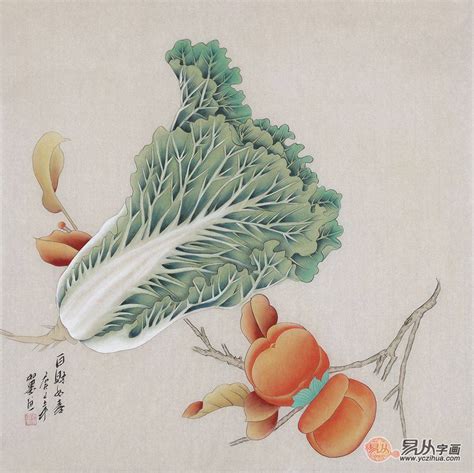 白菜寓意|白菜的寓意和象征风水（解读白菜的吉祥象征及其在风。